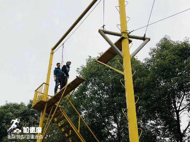 12.25多學教育&睿智達教育聯(lián)合拓展